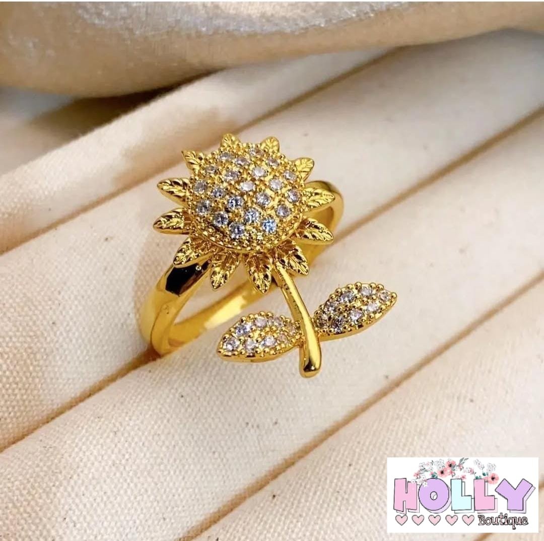 Anillos Giratorios - Imagen 4