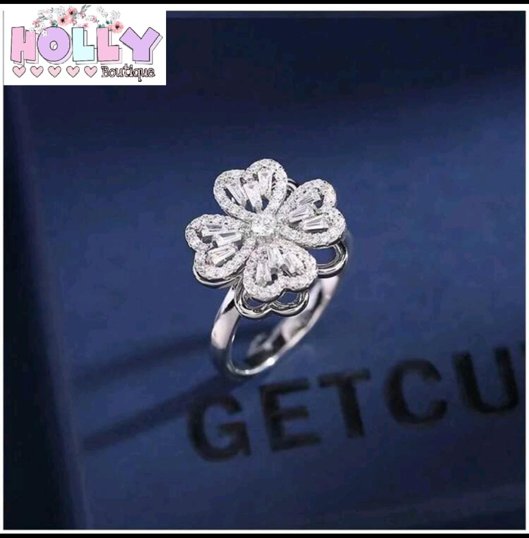 Anillos Giratorios - Imagen 5